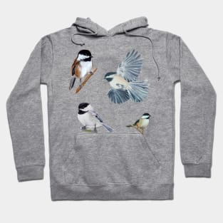 Painted Chickadee Set Hoodie